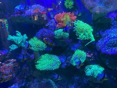 -海合安成都极地海洋公园