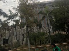 -灵玲国际马戏城