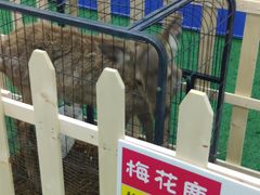 -碧乐城(无锡梁溪店)