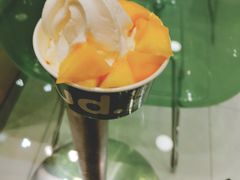 -Salud撒露欧洲冻酸奶(蓝色港湾店)