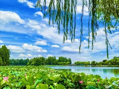 -东湖生态旅游风景区