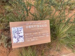 -新疆天山托木尔景区·大峡谷