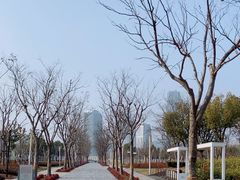 -上海山野camping·户外天幕烧烤·团建拓展营地