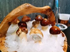 东北鲜松茸-大隐·成都火锅Bistro(合生麒麟新天地店)