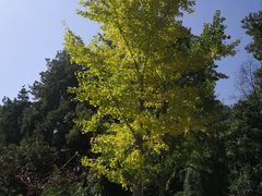 -阿哈湖国家湿地公园