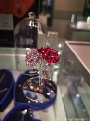 -SWAROVSKI(虹口凯德龙之梦店)