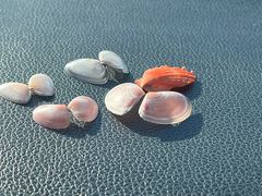 -CoCo都可(开发区梦乐城店)