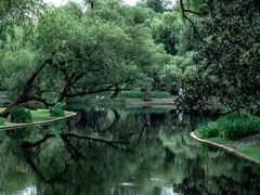 -上海共青森林公园