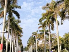-厦门大学(思明校区)