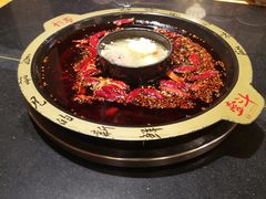 骨汤鸳鸯锅-一斗火锅·招财羊毛肚(北温泉九号店)