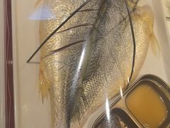 -赶海部落海鲜城(海阳路店)