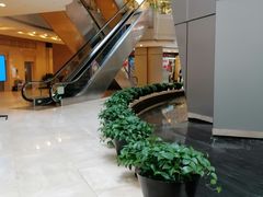 -上海明天广场JW万豪酒店