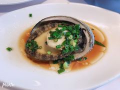 油泼本地大鲍鱼-开海·红岛海鲜虾水饺(石老人店)