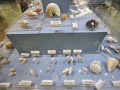 -浙江自然博物院(杭州馆)