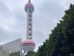 -上海海洋水族馆