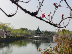 -无锡蠡湖国家湿地公园-蠡园