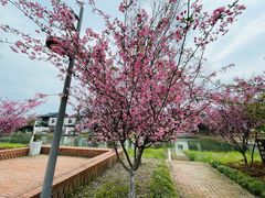 -祝甸砖窑文化馆