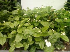 -茶宴·美食地标餐厅(沙坡尾店)