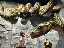 -Zoolung Zoolung动物主题公园(海信广场店)