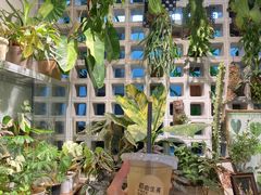 -自由生长植物工作室(深港花卉中心店)
