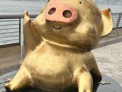 -星光大道
