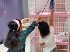 -藏猫猫咖啡主题馆(中央大道店)