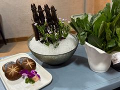 -喜聚薈·花膠雞海鮮火鍋(越秀店)