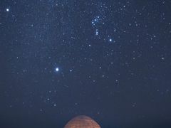 -蜜雪冰城(陈家湾店)