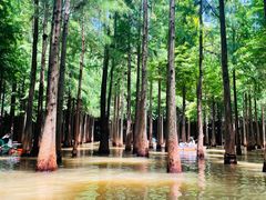 -捞渔河湿地公园