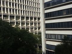 -香港大学