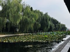 -白洋淀景区