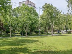 -咸阳湖景区-古渡公园