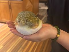 -永安鱼庄·镇江菜(丁卯店)