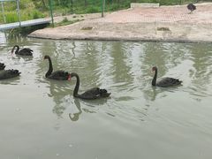 -琅岐红光湖公园