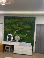 -POCO宝珂丽科技美肤