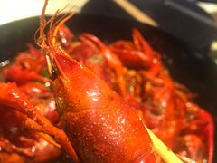 十三香小龙虾-红钳侠小龙虾·烧烤(中赢康康谷店)