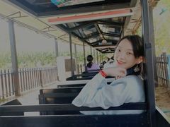 -武汉紫薇都市田园