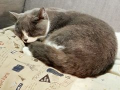 android_upload_pic-MIKAKU(万达广场上海宝山店)