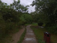 -桤木河湿地公园