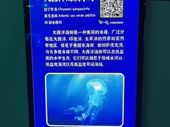 -福州罗源湾海洋世界旅游区