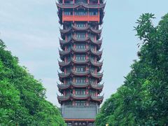 -塔子山公园