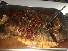 -鱼酷活鱼烤鱼(恒隆广场店)