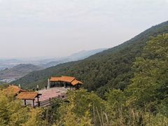 -铁山坪森林公园