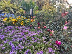 -人民公园(罗湖区)