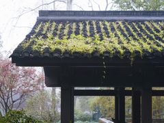 -杭州植物园