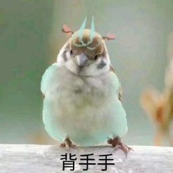 -盘子女人坊生日照·摄影馆(华强店)