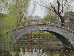 -南汇桃花村