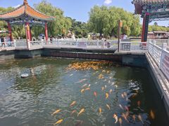 -长春市南湖公园