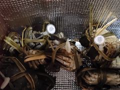 -蟹状元大闸蟹·年货·粽子(成都成华店)