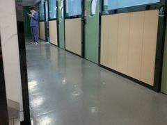 -半岛宠物医院24小时(科华中路店)